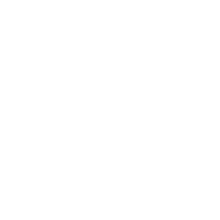 custom-icon
