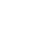 custom-icon